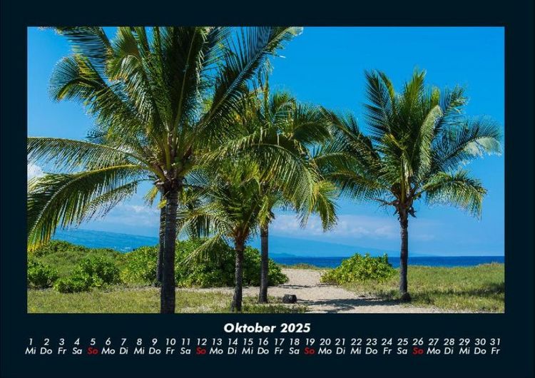 Produktbild: Palmentraum 2025 Fotokalender DIN A4