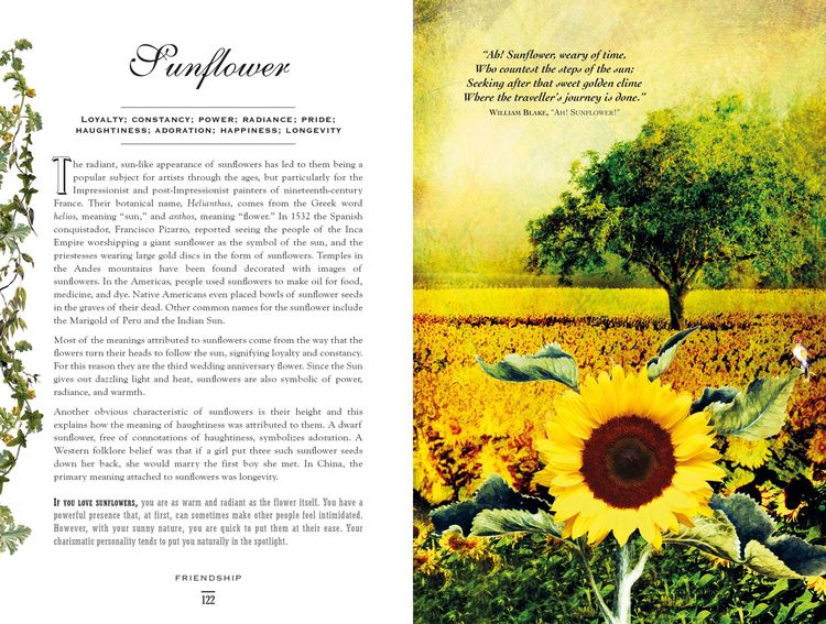 Produktbild: The Secret Language of Flowers