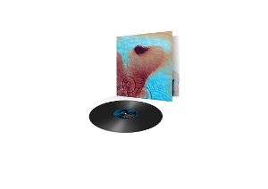 Produktbild: Meddle