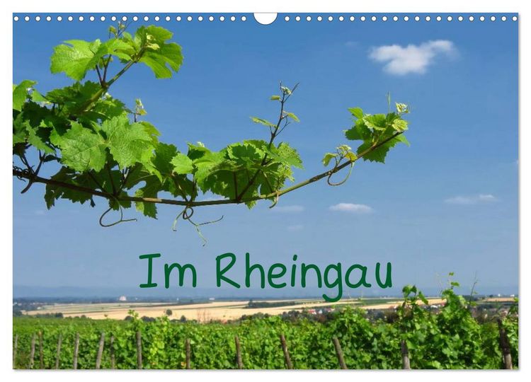 Produktbild: Im Rheingau (Wandkalender 2026 DIN A3 quer), CALVENDO Monatskalender
