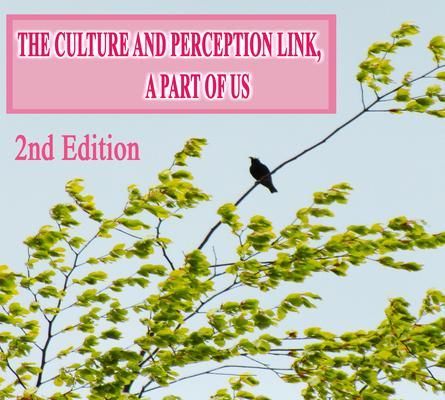 Produktbild: The Culture and Perception Link