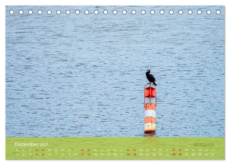 Produktbild: der elbestrom natur (Tischkalender 2027 DIN A5 quer), CALVENDO Monatskalender