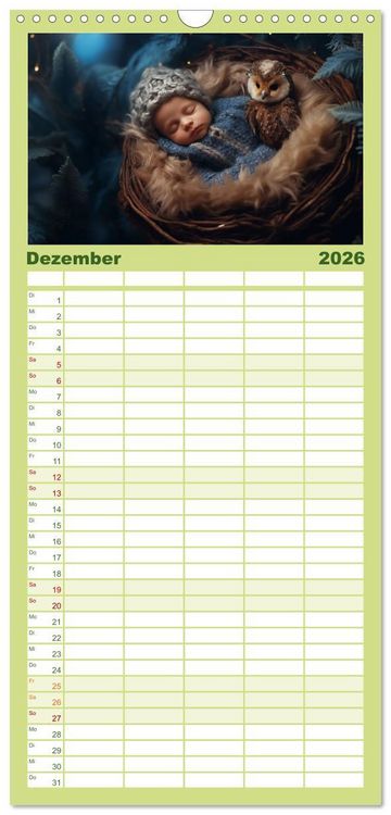 Produktbild: Familienplaner 2026 - Kleine Schlummerparade: Babys und ihre kuscheligen Tierfreunde mit 5 Spalten (Wandkalender, 21 x 45 cm) CALVENDO