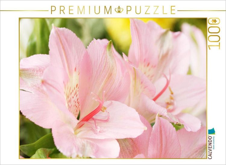 Produktbild: CALVENDO Puzzle Zarte Bl&uuml;ten der Inkalilie | 1000 Teile Lege-Gr&ouml;&szlig;e 64x48cm Foto-Puzzle f&uuml;r gl&uuml;ckliche Stunden