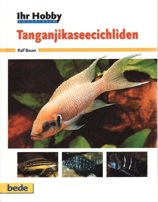 Produktbild: Tanganjikaseecichliden