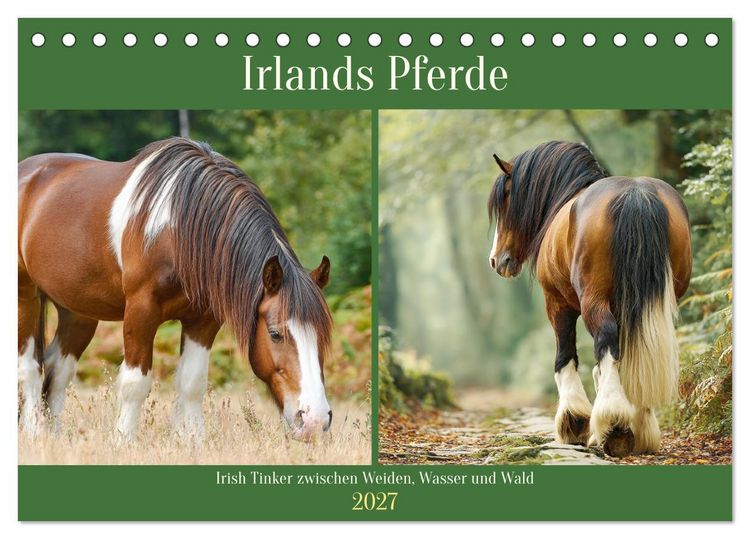 Produktbild: Irlands Pferde. Irish Tinker zwischen Weiden, Wasser und Wald (Tischkalender 2027 DIN A5 quer), CALVENDO Monatskalender