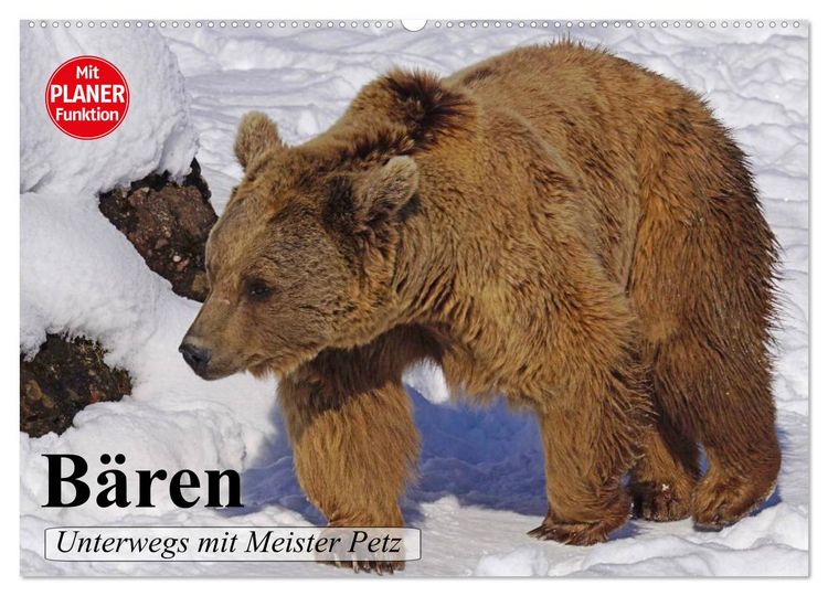 Produktbild: B&auml;ren. Unterwegs mit Meister Petz (Wandkalender 2026 DIN A2 quer), CALVENDO Monatskalender