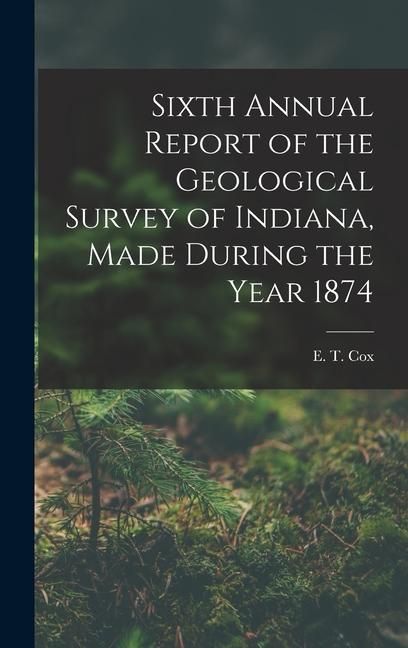 Produktbild: Sixth Annual Report of the Geological Survey of Indiana, Made During the Year 1874