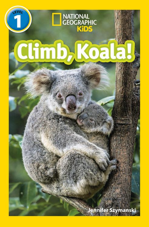 Produktbild: Climb, Koala!