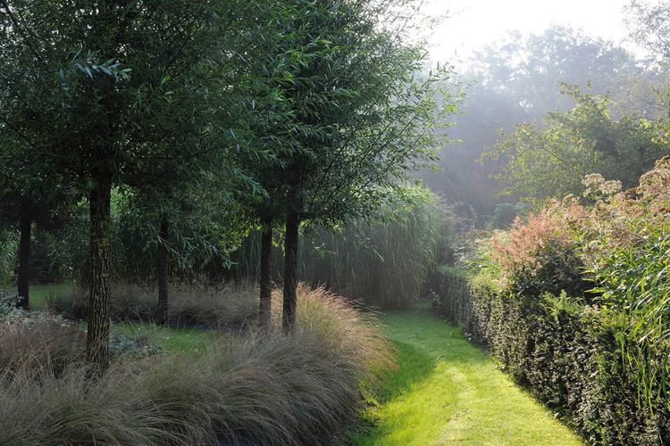 Produktbild: Meine Vision wird Garten