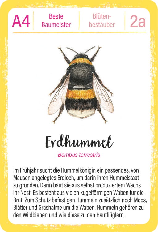 Produktbild: Expedition Natur Quartett Tierrekorde