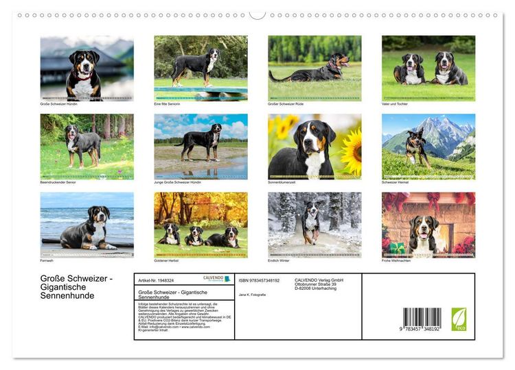 Produktbild: Gro&szlig;e Schweizer - Gigantische Sennenhunde (hochwertiger Premium Wandkalender 2026 DIN A2 quer), Kunstdruck in Hochglanz