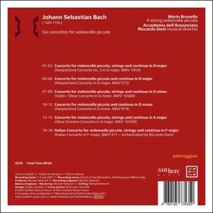 Produktbild: Bach Transcriptions
