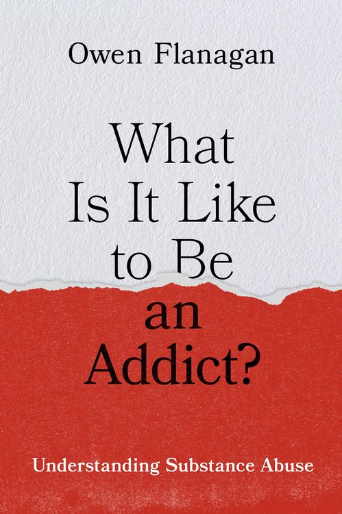 Produktbild: What Is It Like to Be an Addict?