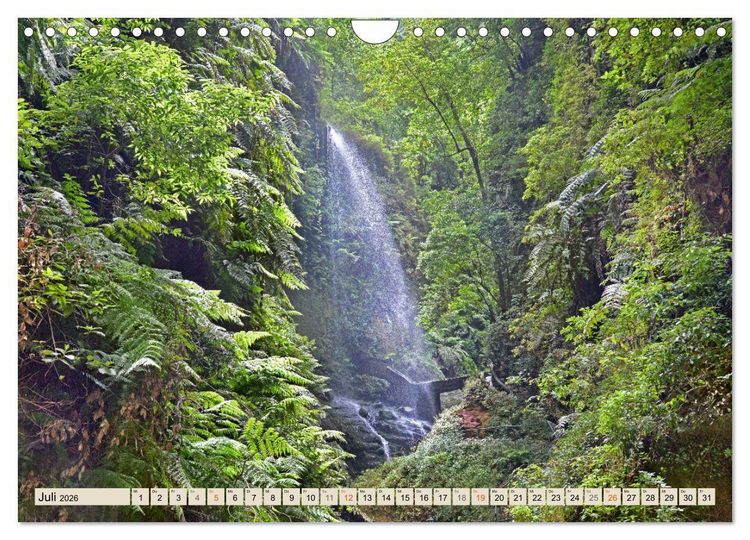 Produktbild: Magic Moments - LA PALMA (Wandkalender 2026 DIN A4 quer), CALVENDO Monatskalender