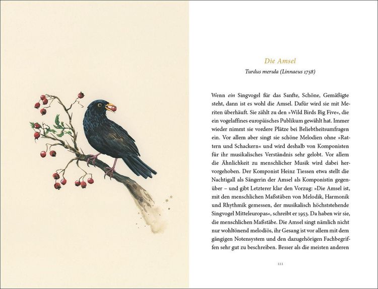 Produktbild: Vom Gl&uuml;ck des Vogelgesangs
