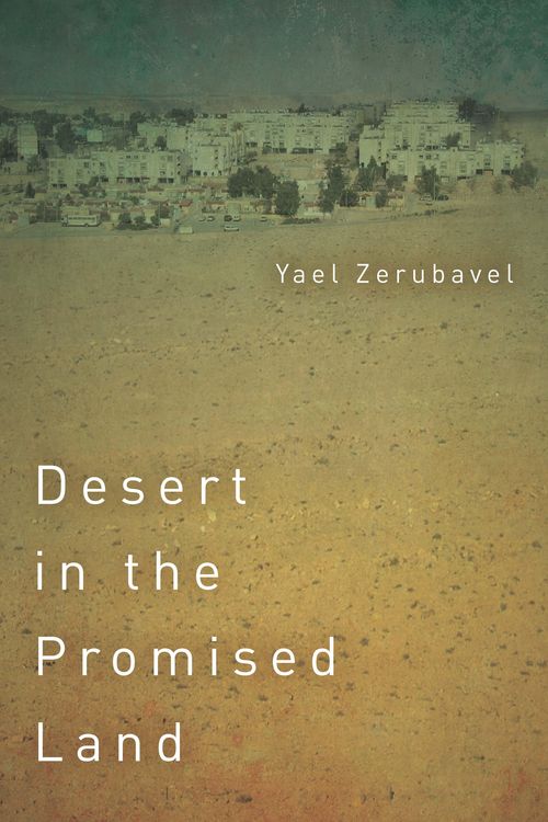 Produktbild: Desert in the Promised Land