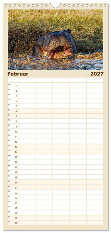 Produktbild: Familienplaner 2027 - Hippos - Gef&auml;hrliche Giganten mit 5 Spalten (Wandkalender, 21 x 45 cm) CALVENDO