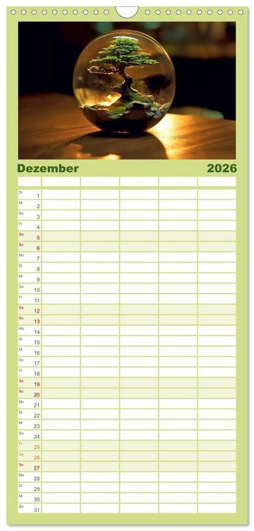 Produktbild: Familienplaner 2026 - Schneekugel war gestern mit 5 Spalten (Wandkalender, 21 x 45 cm) CALVENDO