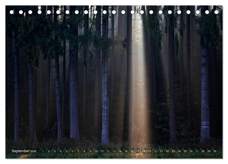 Produktbild: B&auml;ume (Tischkalender 2026 DIN A5 quer), CALVENDO Monatskalender