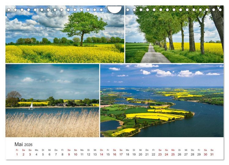 Produktbild: Schleswig-Holsteinische Impressionen (Wandkalender 2026 DIN A4 quer), CALVENDO Monatskalender