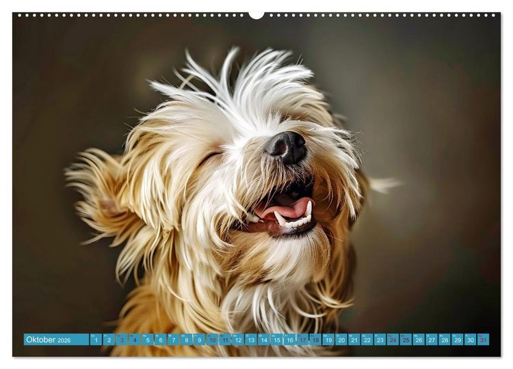 Produktbild: L&auml;chelnde Hunde sind wie Sonnenschein auf vier Pfoten (Wandkalender 2026 DIN A2 quer), CALVENDO Monatskalender