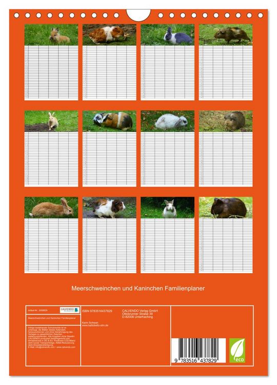 Produktbild: Meerschweinchen und Kaninchen Familienplaner (Wandkalender 2026 DIN A4 hoch), CALVENDO Monatskalender