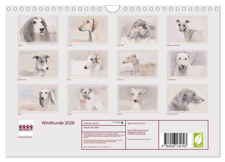 Produktbild: Windhunde 2026 (Wandkalender 2026 DIN A4 quer), CALVENDO Monatskalender