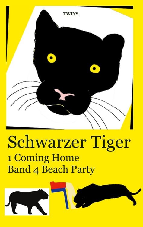 Bild vom Artikel Schwarzer Tiger 1 Coming Home vom Autor TWINS