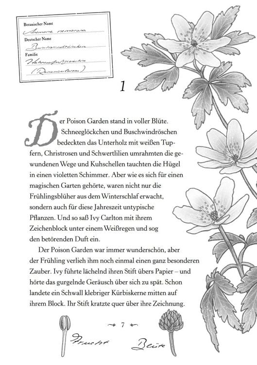 Produktbild: Ivy und das Herz des Poison Garden