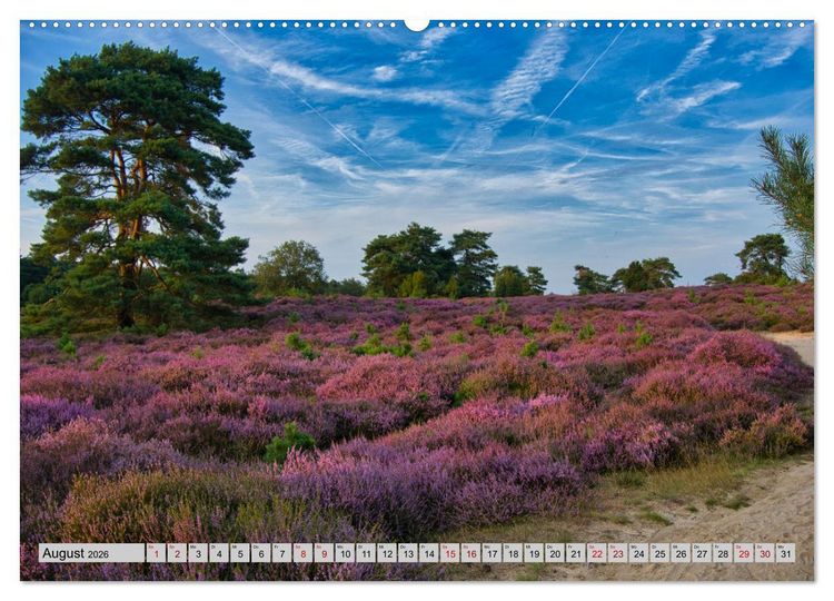 Produktbild: Streifz&uuml;ge durch den Norden der Niederlande (Wandkalender 2026 DIN A2 quer), CALVENDO Monatskalender