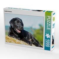 Produktbild: CALVENDO Puzzle Endlich Sommer 1000 Teile Lege-Gr&ouml;&szlig;e 64 x 48 cm Foto-Puzzle Bild von Sigrid Starick