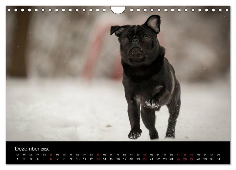 Produktbild: Vermopst durchs Jahr (Wandkalender 2026 DIN A4 quer), CALVENDO Monatskalender