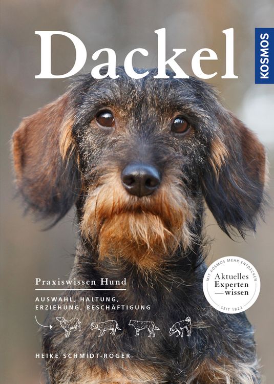 Produktbild: Dackel