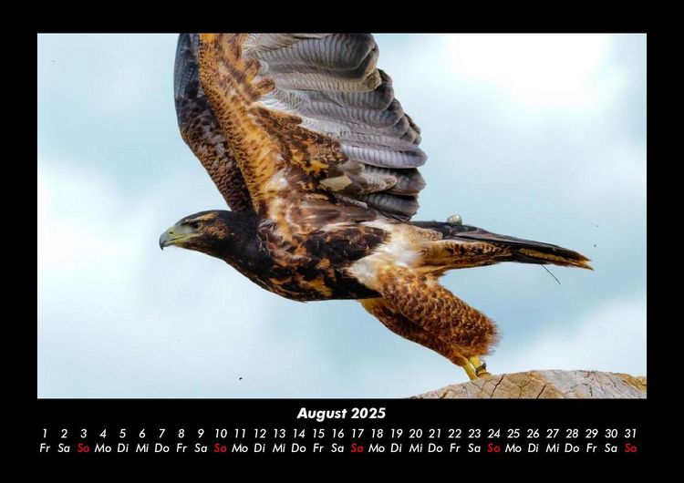 Produktbild: Vogelparadies 2025 Fotokalender DIN A3