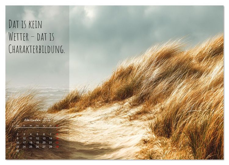 Produktbild: Moin Moin ist schon gesabbel - Norddeutscher Spr&uuml;che-Kalender (Wandkalender 2026 DIN A3 quer), CALVENDO Monatskalender