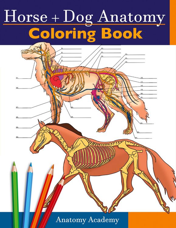 Produktbild: Horse + Dog Anatomy Coloring Book