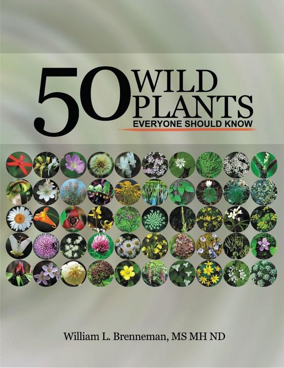 Produktbild: Fifty Wild Plants Everyone Should Know