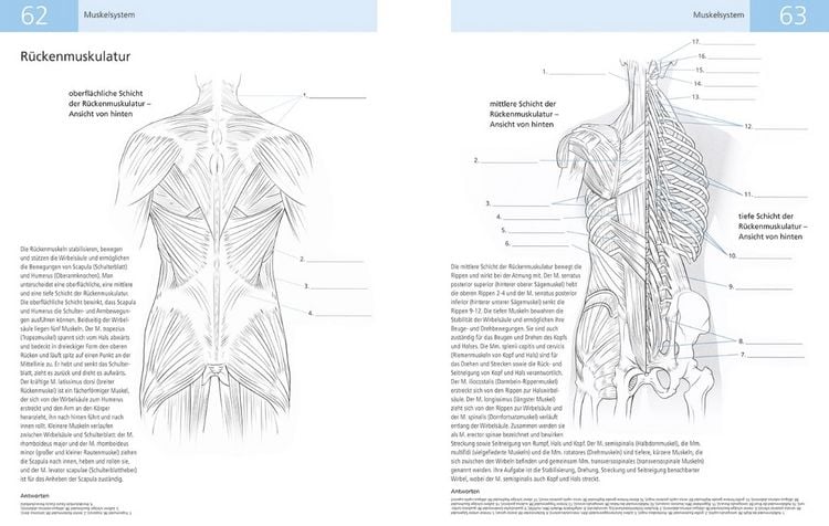 Produktbild: Das Lehrbuch der Anatomie