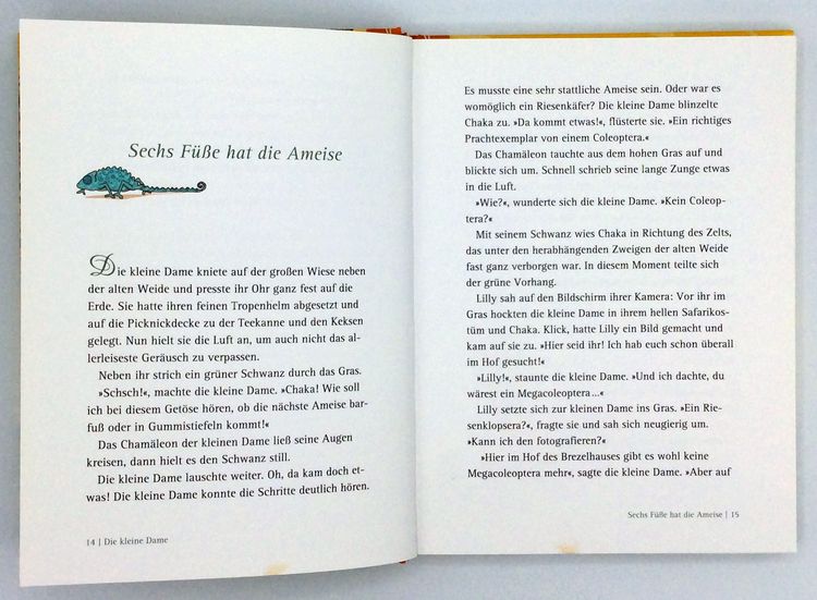 Produktbild: Die kleine Dame auf Salafari / Die kleine Dame Band 3
