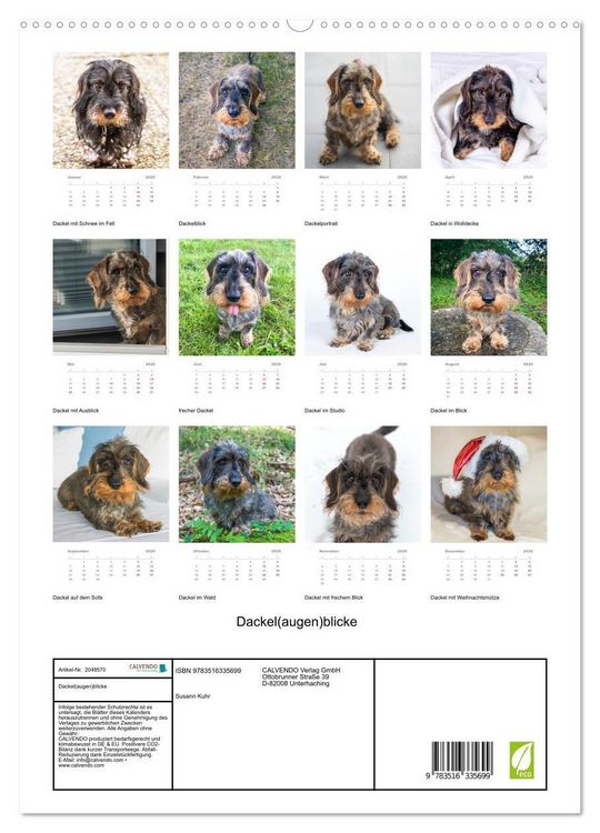 Produktbild: Dackel(augen)blicke (hochwertiger Premium Wandkalender 2026 DIN A2 hoch), Kunstdruck in Hochglanz