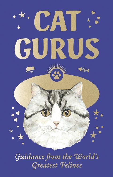 Produktbild: Cat Gurus Mini
