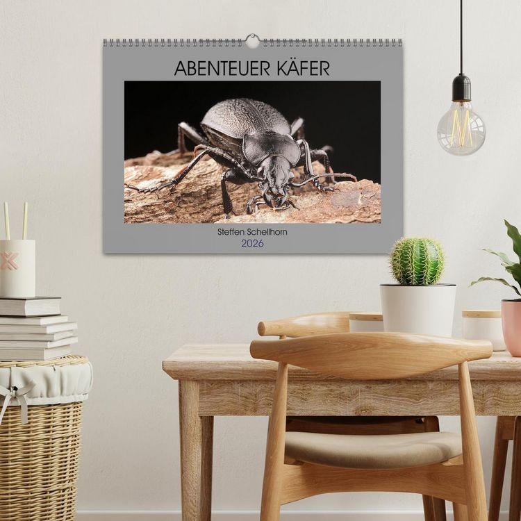 Produktbild: ABENTEUER K&Auml;FER (Wandkalender 2026 DIN A3 quer), CALVENDO Monatskalender