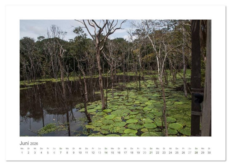 Produktbild: Amazonas, eine Reise entlang seiner Ufer (Wandkalender 2026 DIN A2 quer), CALVENDO Monatskalender