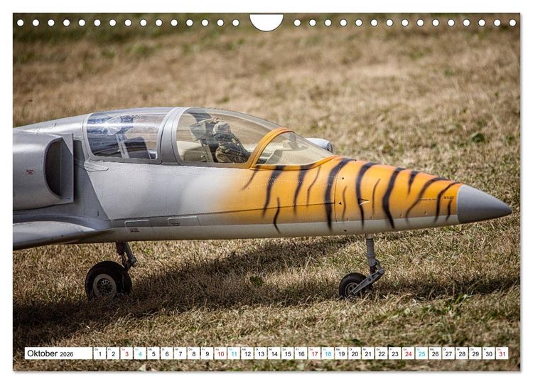 Produktbild: Vielfalt am Fliegerfest (Wandkalender 2026 DIN A4 quer), CALVENDO Monatskalender