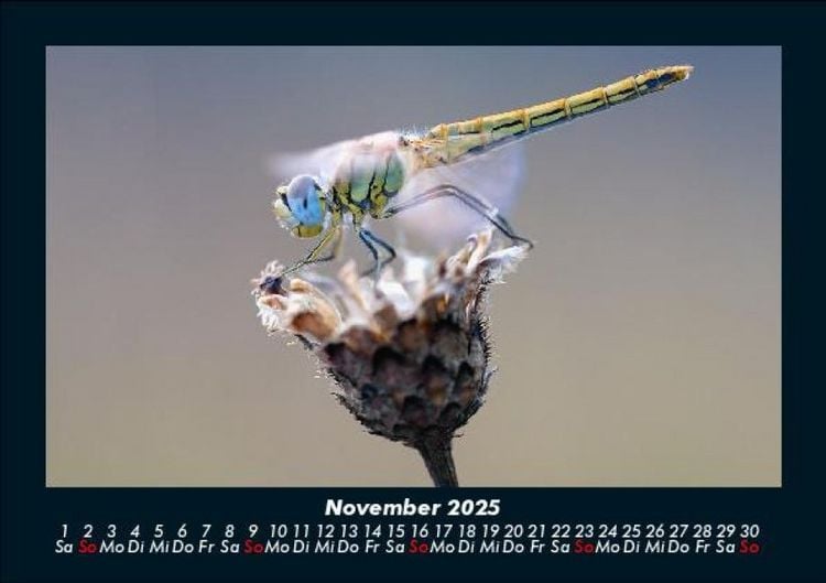Produktbild: Natur 2025 Fotokalender DIN A5