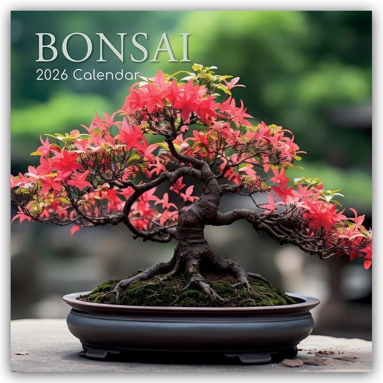 Produktbild: Bonsai – Bonsaibäume 2026 – 16-Monatskalender