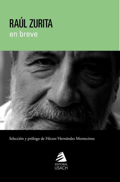 Produktbild: Ra&uacute;l Zurita