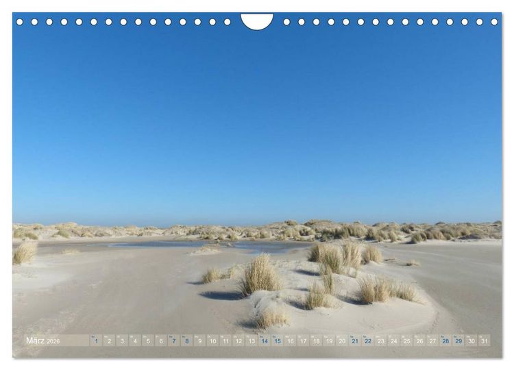 Produktbild: Texel. Neue D&uuml;nen (Wandkalender 2026 DIN A4 quer), CALVENDO Monatskalender
