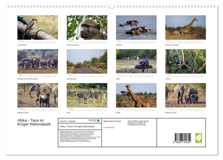 Produktbild: Afrika - Tiere im Kr&uuml;ger Nationalpark (hochwertiger Premium Wandkalender 2026 DIN A2 quer), Kunstdruck in Hochglanz